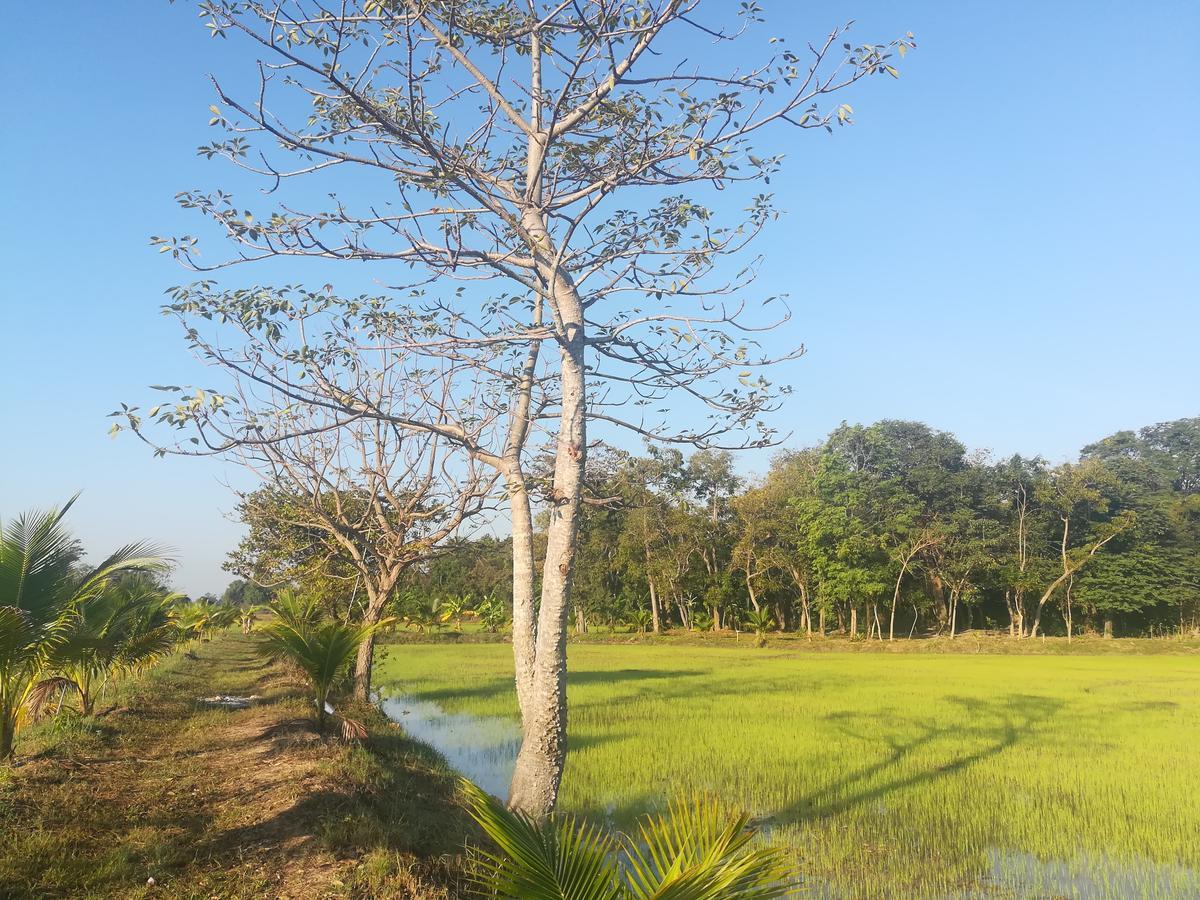 BN Resort Ban Nong Chum Saeng Exterior foto